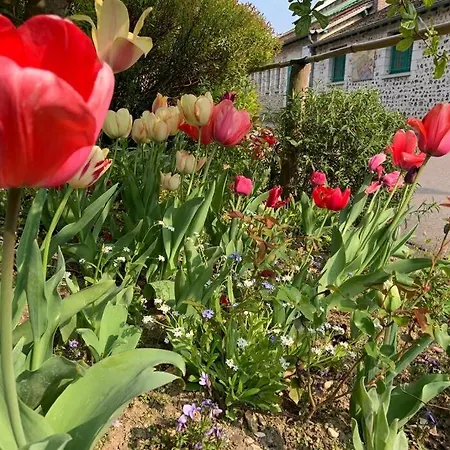 Le Clos De L'eglise - Blanche